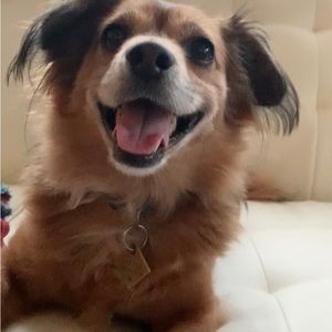 Meet your Posher, Rachael